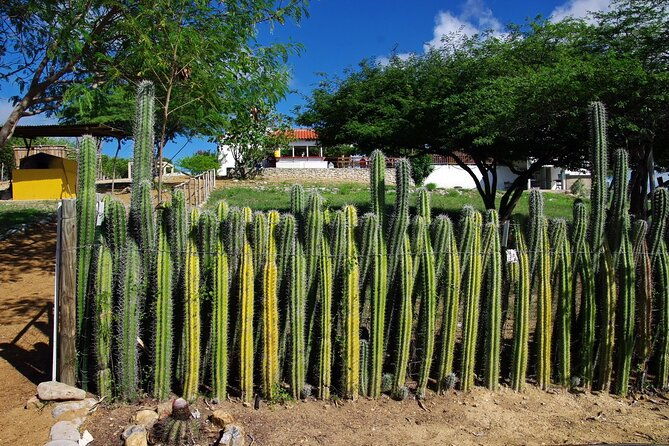 tour-in-north-and-south-bonaire-guided