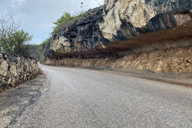 tour-in-north-and-south-bonaire-guided