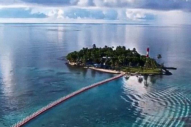 tour-in-pontoon-to-the-aquarium-bahia-palito-mangroves-rocky-cay
