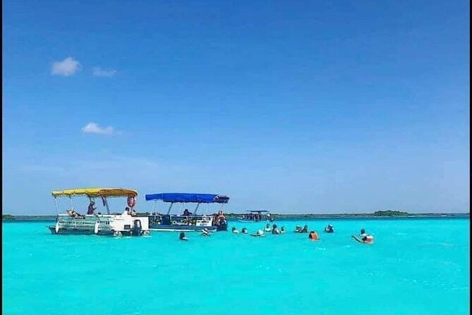 tour-in-pontoon-to-the-aquarium-bahia-palito-mangroves-rocky-cay