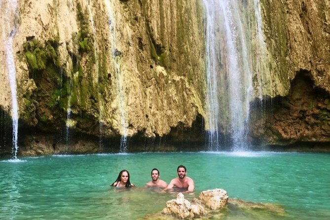 tour-in-samanabaracardi-islandballenas-y-salto-lemon-from-puj