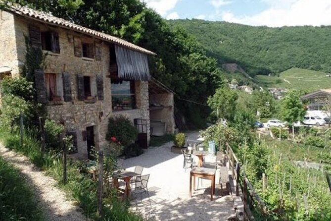 tour-in-the-prosecco-hills-tour-from-padua-2