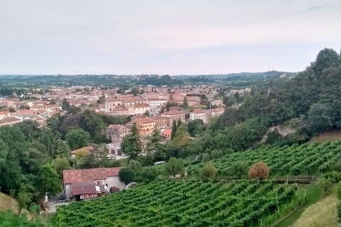 tour-in-the-prosecco-hills-tour-from-padua-2