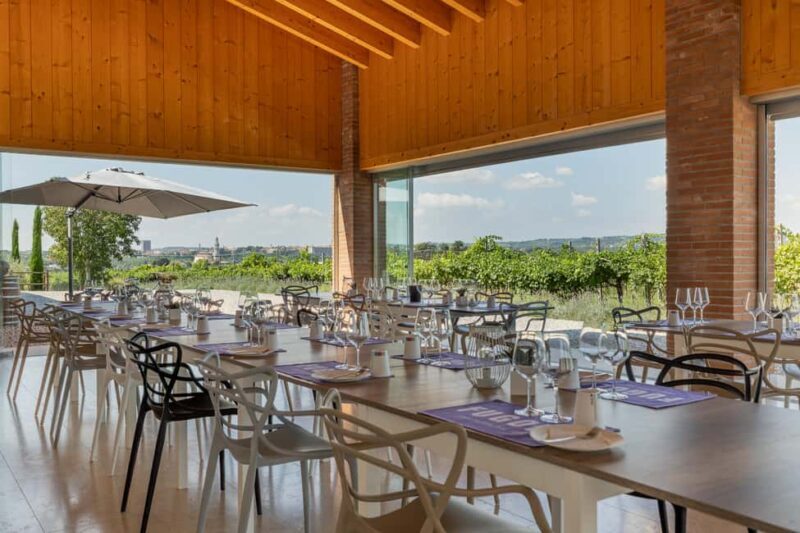 Tour in Valpolicella: wine, oil, and peach tasting - Key Points  