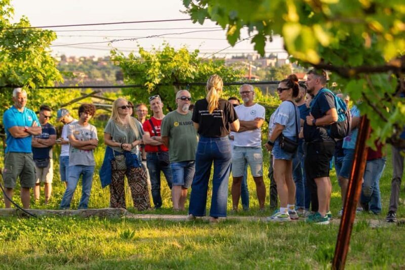 Tour in Valpolicella: wine, oil, and peach tasting - Exploring the Valpolicella Wine, Oil, and Peach Tasting Tour