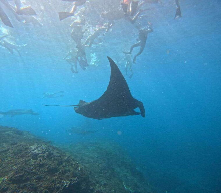 tour-kelingking-and-snorkeling-four-spot-with-camera-gopro