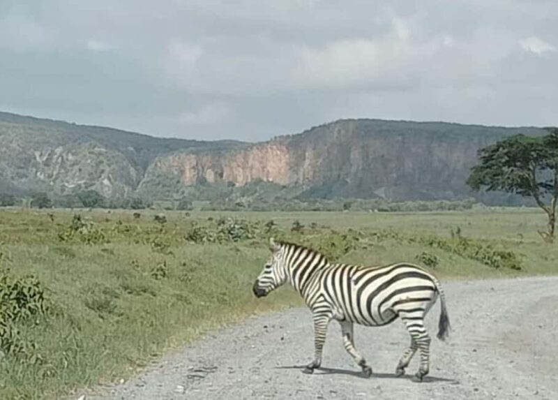 TOUR-L NAIVASHA/HELL'S GATE,CRESCENT ISLAND & GEOTHERMAL SPA - The Day Starts Early but Pays Off