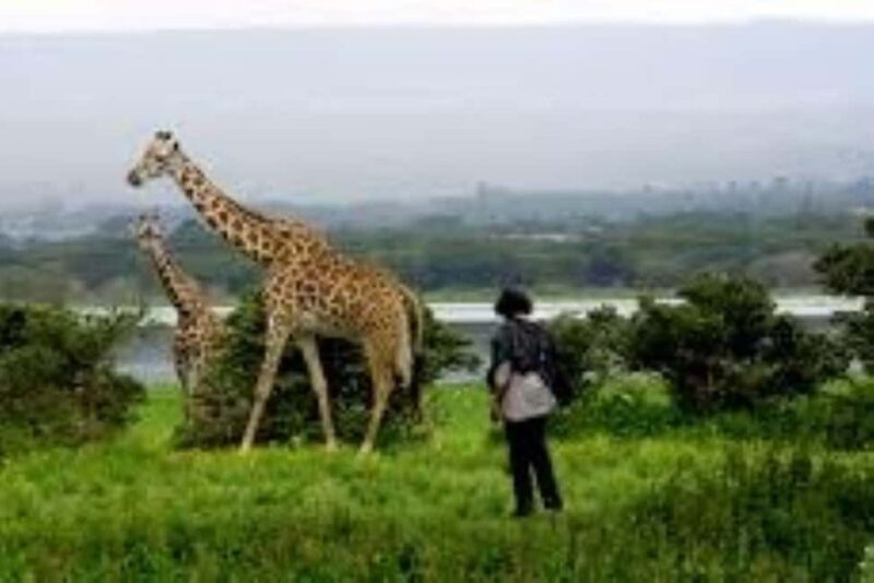 TOUR-L NAIVASHA/HELL'S GATE,CRESCENT ISLAND & GEOTHERMAL SPA - The Geothermal Spa Experience