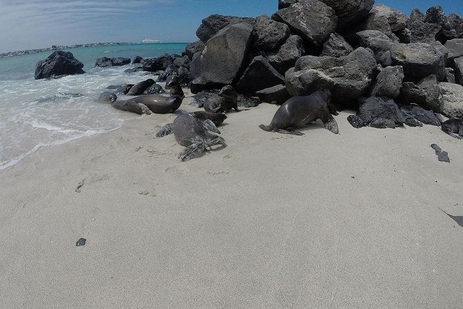 tour-lobos-island-from-san-cristobal