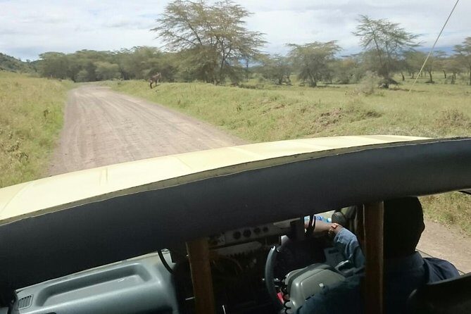Tour Nairobi National Park - Key Points