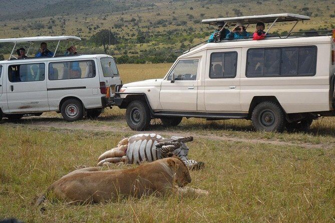 Tour Nairobi National Park - Detailed Breakdown of the Itinerary