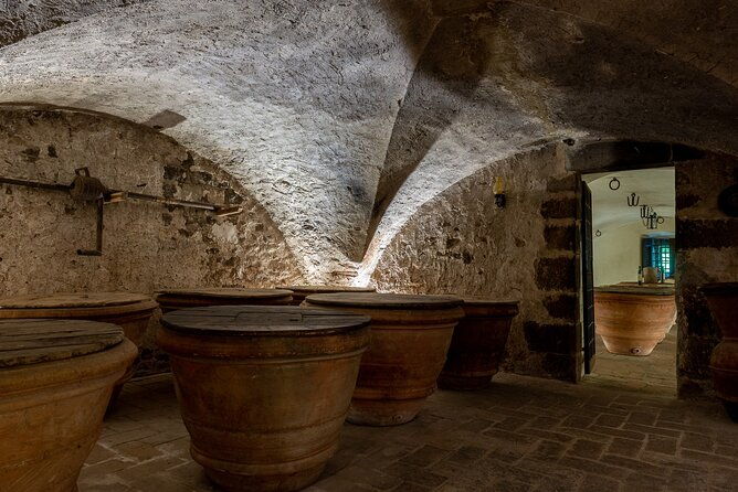 tour-of-900year-old-secret-cellars-tasting-of-3-wines-and-bread-with-evo-oil-2