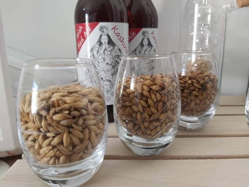 Tour of a craft brewery with tasting - The Experience: What to Expect from the Brewery Tour