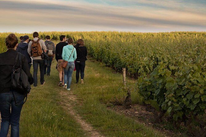 Tour of a Vineyard, Winery & Cellar with Wine Tasting in Vouvray, Loire Valley - Final Thoughts  