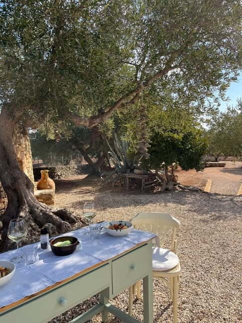 Tour of Apulian farms and local producers - Why This Tour Offers Great Value