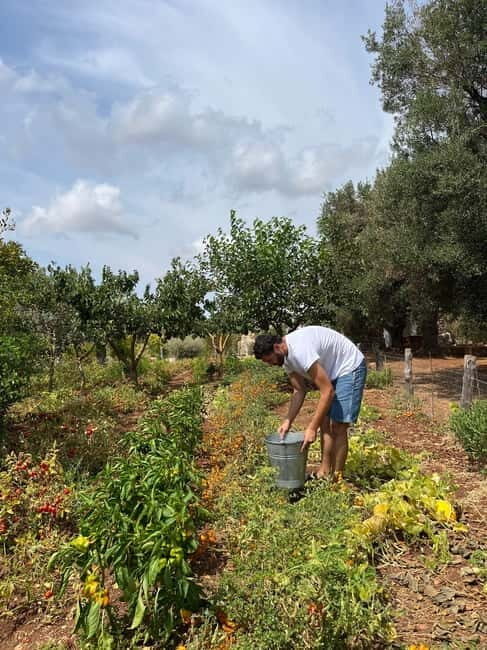 Tour of Apulian farms and local producers - Frequently Asked Questions (FAQs)