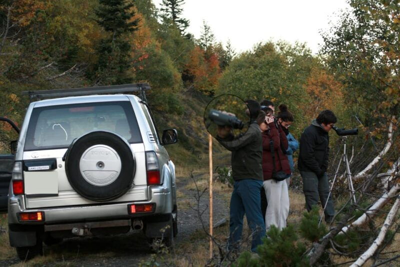 tour-of-aran-4x4-fauna-flora-and-alpine-nature