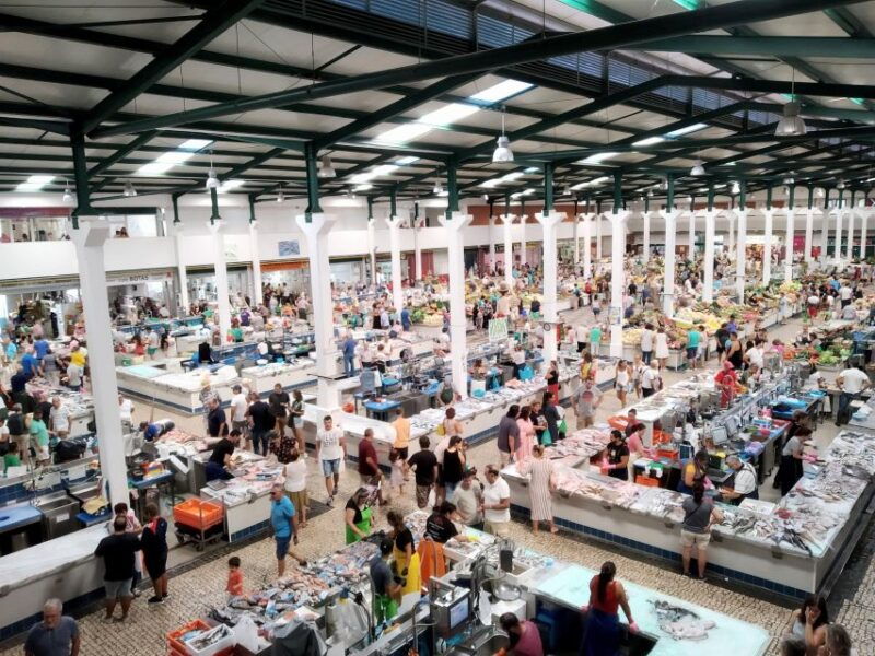 tour-of-arrabida-and-beautiful-landscapes-and-wine-tasting