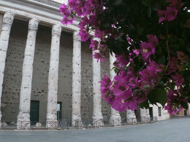 tour-of-colosseum-roman-forum-with-dutch-guide