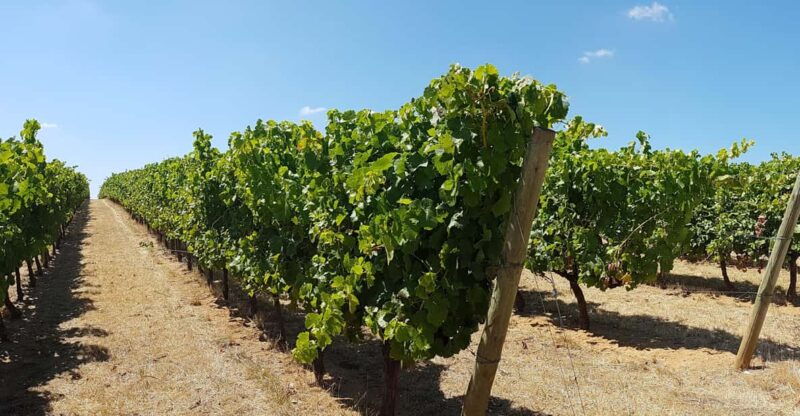 tour-of-evora-unesco-world-heritage-site