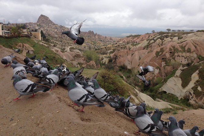 tour-of-highlights-of-cappadocia-with-lunch