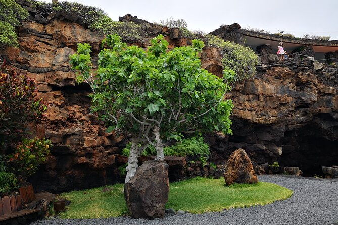 tour-of-jameos-del-agua-cave-of-the-greens-and-viewpoint-from-the-cliffs