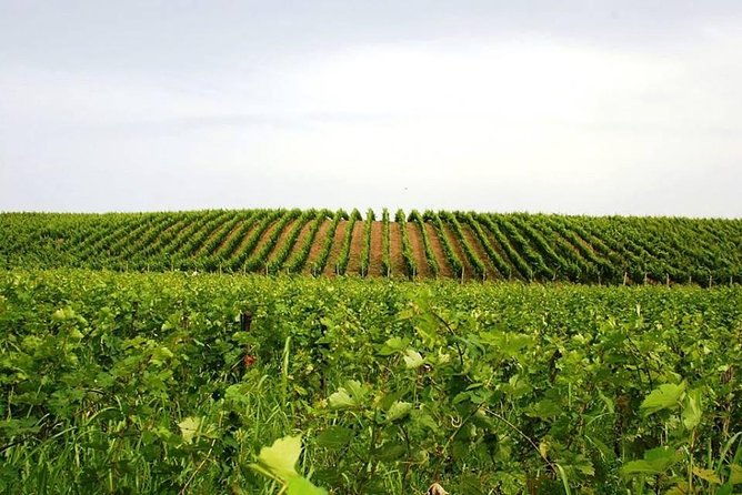 tour-of-kruja-and-wine-tasting-in-one-day-from-tirana