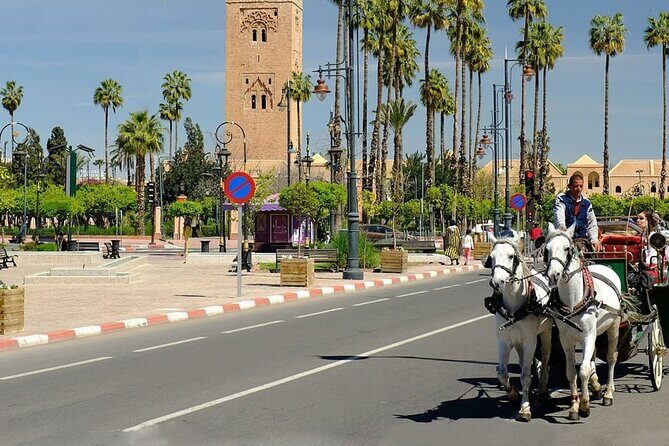 tour of marrakech-medina, souks, secret gardens,Madrassa& stories - Authenticity & Respect