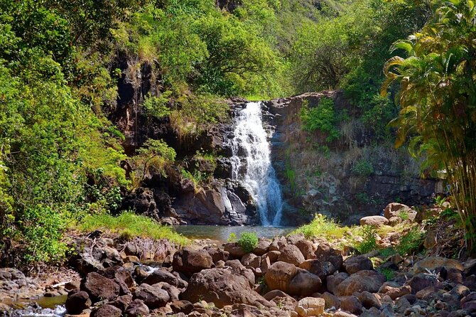 tour-of-north-shore-waimea-waterfall