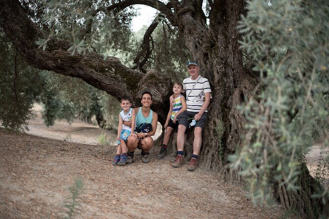 tour-of-olive-grove-and-oil-mills-with-oil-tasting-2