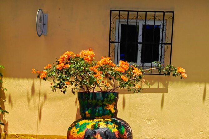 tour-of-san-juan-lake-atitlan