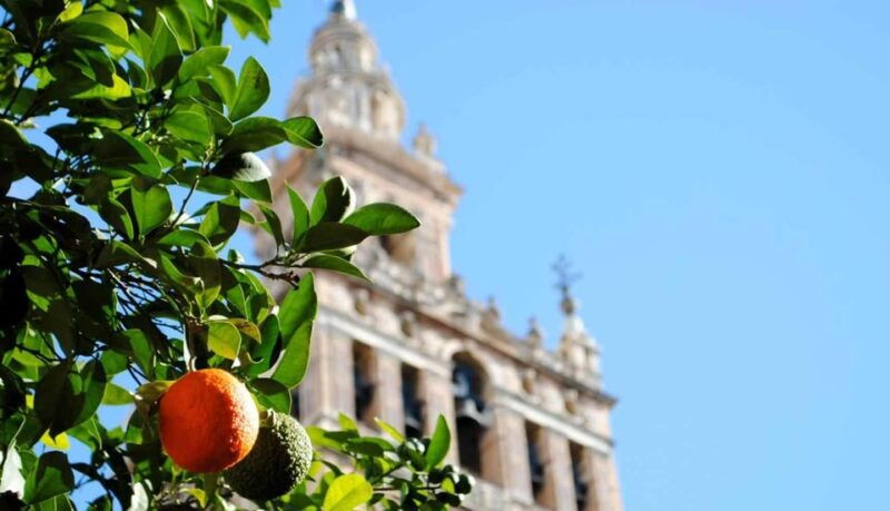 tour-of-seville-of-the-3-cultures