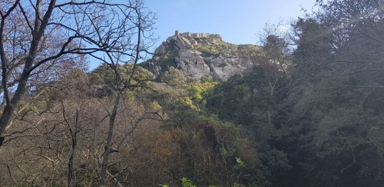 tour-of-sintra-5-hours