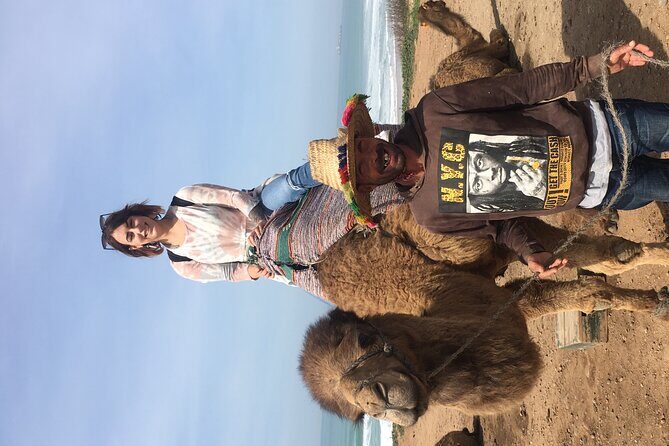 Tour of Tangier 1-2 people with camel ride - Tour Logistics & Practical Details