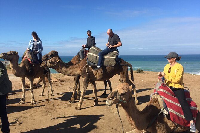 Tour of Tangier 3-6 people - Practical Tips and Considerations