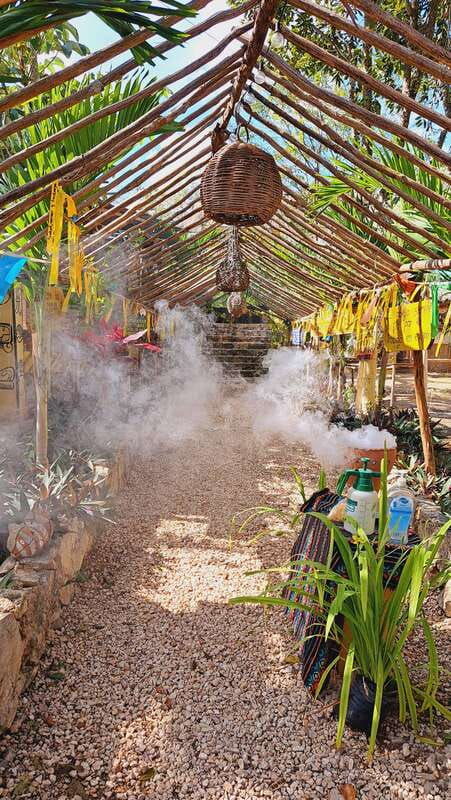 tour-of-the-4-bacabes-experience-with-melipona-bees