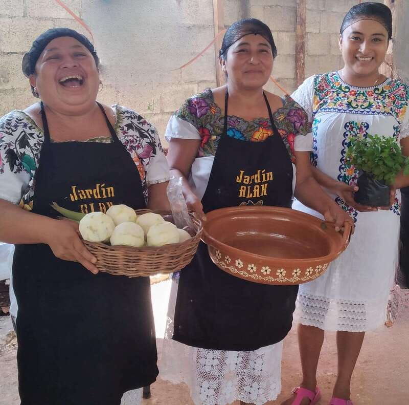 tour-of-the-4-bacabes-experience-with-melipona-bees