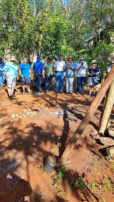 tour-of-the-4-bacabes-experience-with-melipona-bees