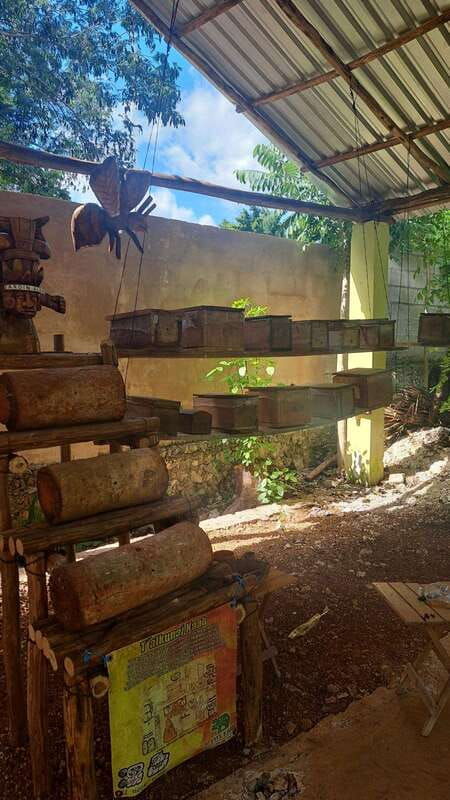 tour-of-the-4-bacabes-experience-with-melipona-bees