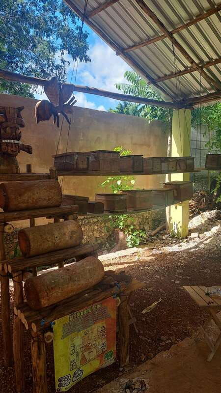 tour-of-the-4-bacabes-experience-with-melipona-bees