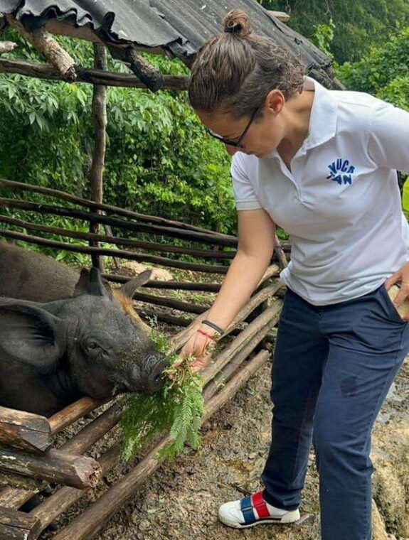 tour-of-the-4-bacabes-experience-with-melipona-bees