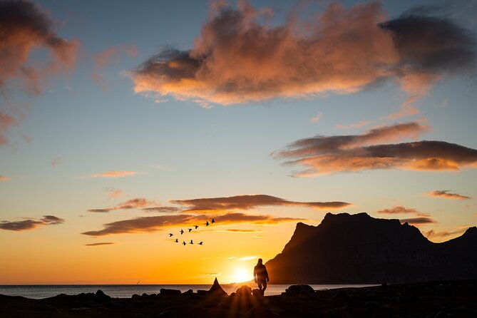 tour-of-the-authentic-fjords-of-kvaloya-to-sommaroy