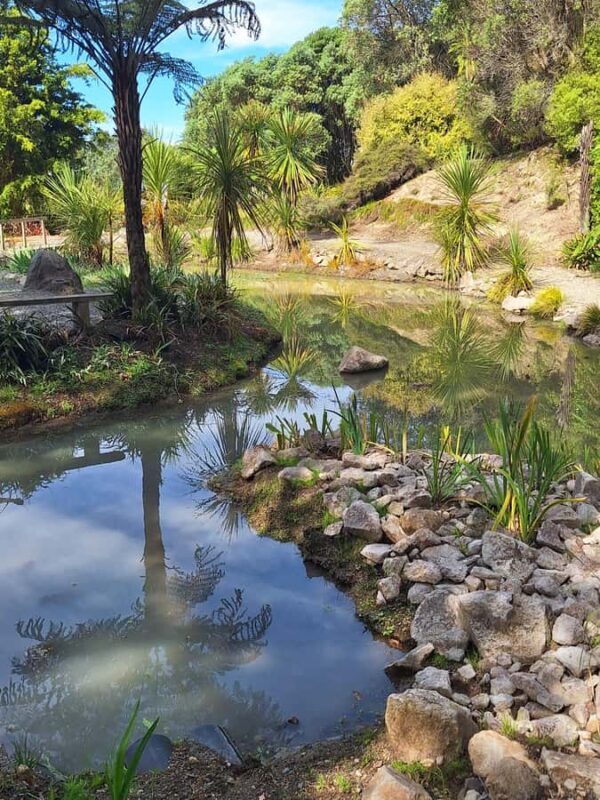 Tour of the Bay, Te Puna Sculpture Park and Historic Village - Key Points