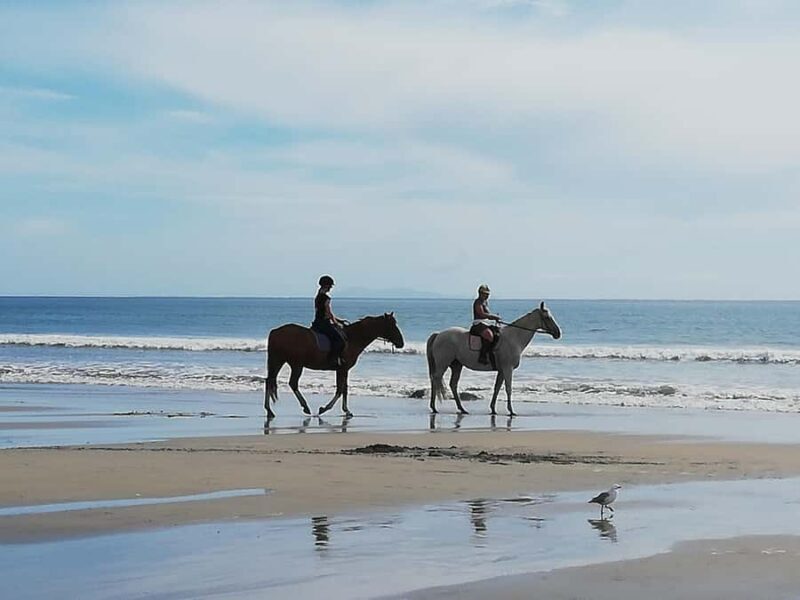 Tour of the Bay, Te Puna Sculpture Park and Historic Village - Final Thoughts on Value