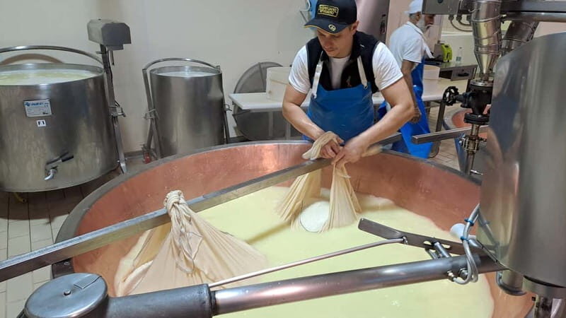 Tour of the dairy and warehouse + lunch with experience menu - Key Points