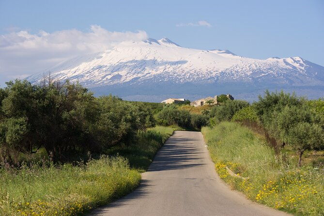 tour-of-the-etna-cellars-typical-lunch-and-wine-tasting