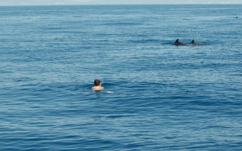 tour-of-the-island-of-ortigia-blue-grotto-dolphin-watching