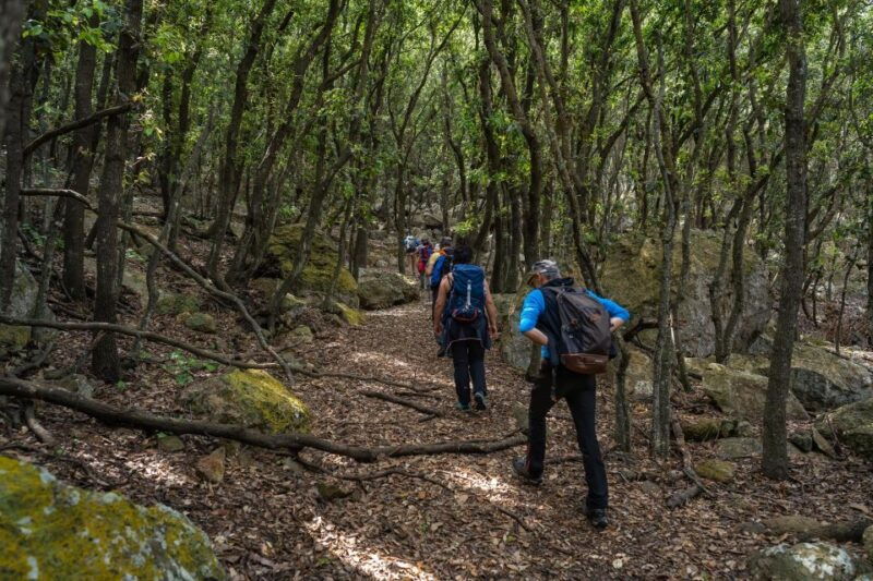 tour-of-the-island-of-zannone-lasting-6-hours