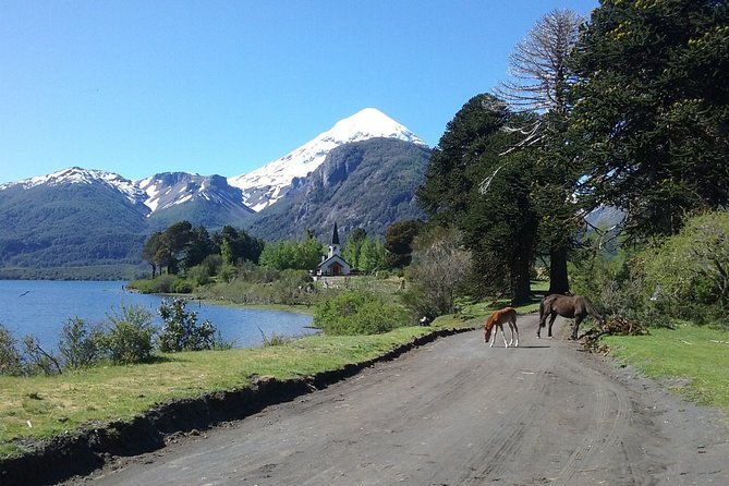 tour-of-the-lanin-volcano-and-huechulafquen-lake
