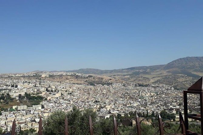 Tour of the Medina of Fez (whole day) - The Full Day in Fez: What to Expect